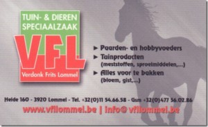 VFL LOMMEL